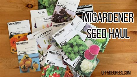 Migardener seeds - Welcome to MIgardener! Learn how to garden easier, smarter, and have more fun gardening! Join me for weekly videos about organic gardening, self-sustainability, homesteading, farming, tips ...